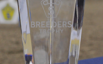 Breeders Trophy 2018