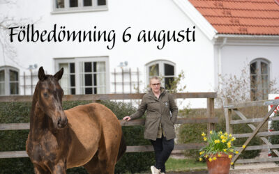 Borebackar Gård 6 Augusti 2025